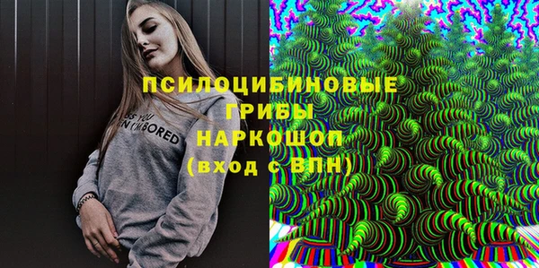 СК Алзамай